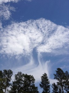 His Love Letters …..