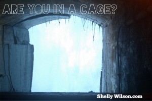 The Cage