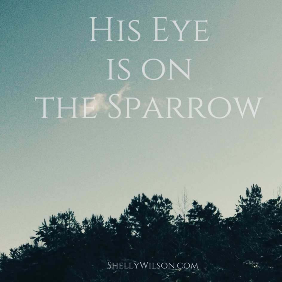 His Sparrows