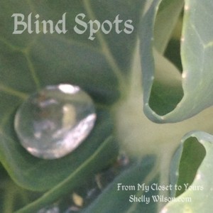 Blind Spots