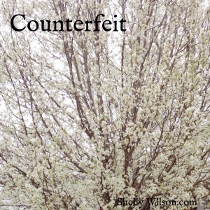 Counterfeit..