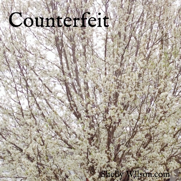 Counterfeit..