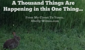 A Thousand Things Are Happening in This One Thing..