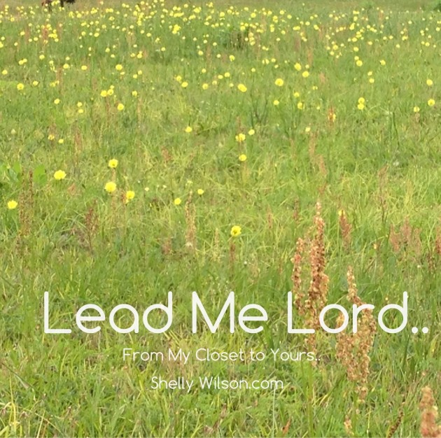 Lead Me Lord…