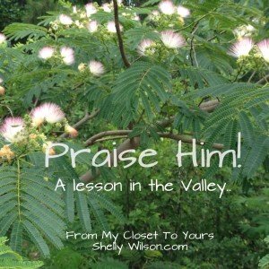Praise Him..A Lesson in the Valley