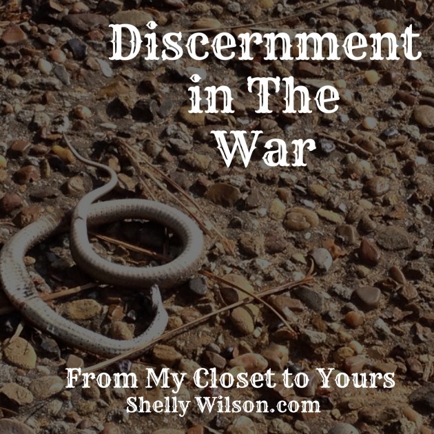 Discernment in The War..