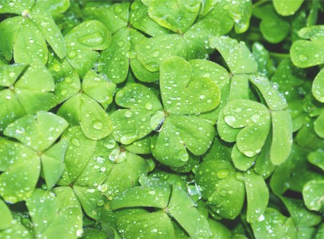 Tears Make Us Tough…