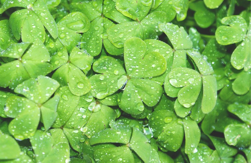 Tears Make Us Tough…