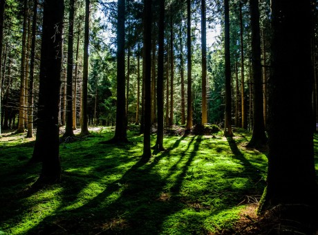 Break the Silence…