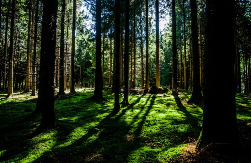 Break the Silence…