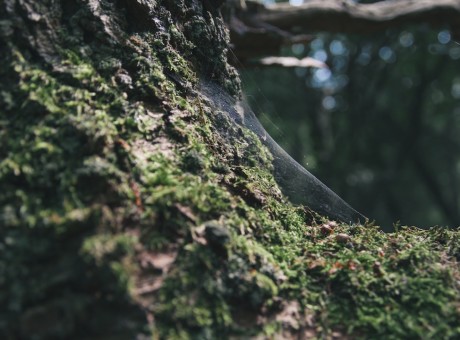 I Am Not Unaware-Lyrical Messages