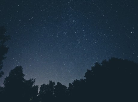 Richness in Solitude…