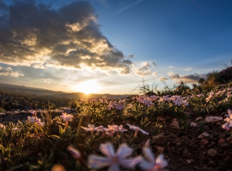 The Lord is My Light and My Salvation..