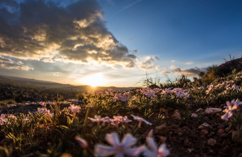 The Lord is My Light and My Salvation..