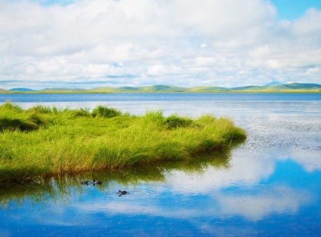 Where My Heart Rests