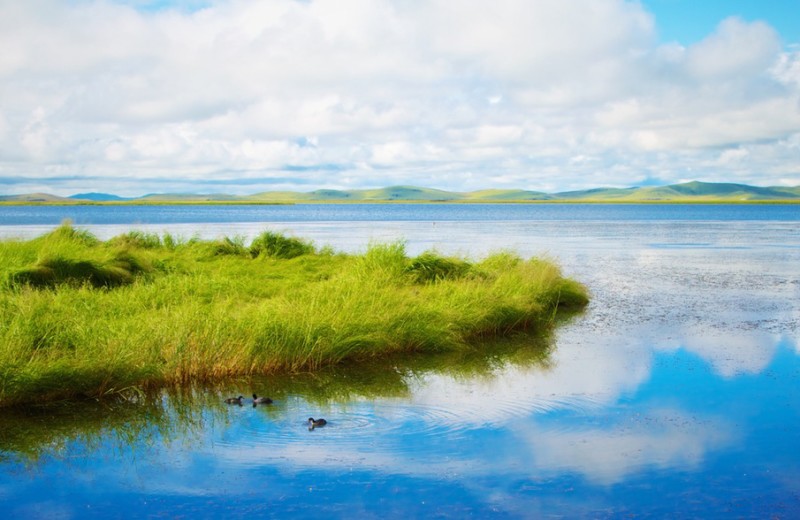 Where My Heart Rests