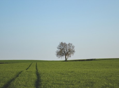 When You Stay Too Long…