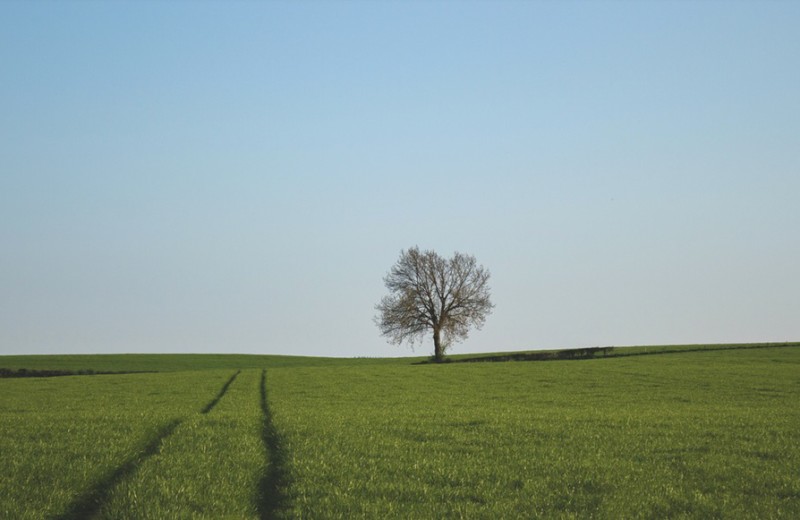 When You Stay Too Long…