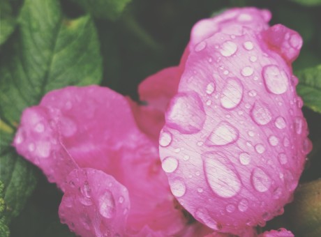 To Know God’s Way With You