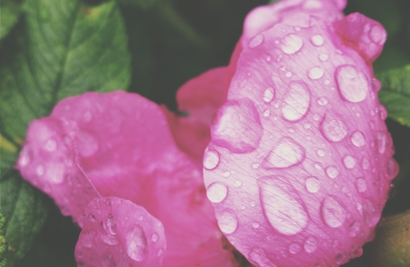 To Know God’s Way With You