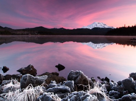 Freedom From Affections