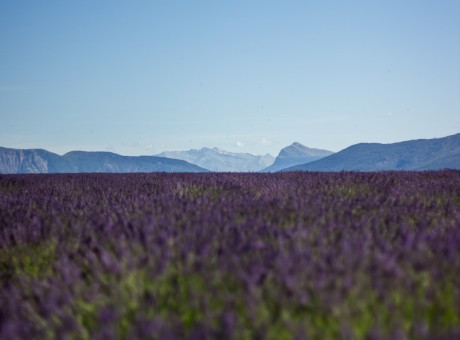 To Whom I’m Betrothed