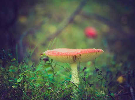 While I’m Sleeping