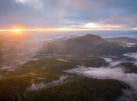 The Color of Sadness