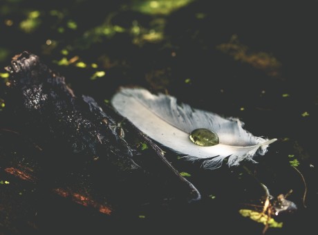 When There’s A Word Over Your Life…