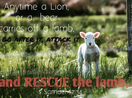 There are some days…