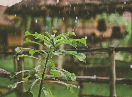 Nothin grows without a little rain…