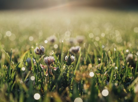 The God of Recompense