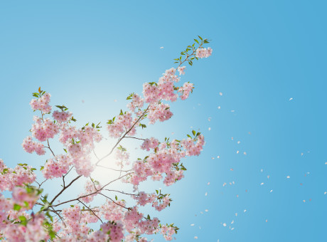 A Report from the Mission Field-Treasure Church- White Oak, Texas