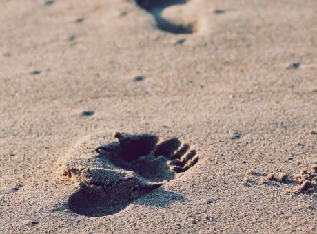 Ponder the Path of Thy Feet