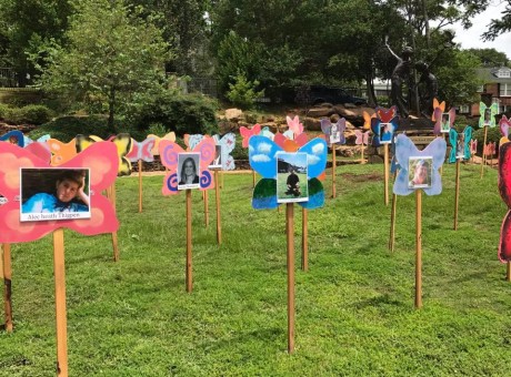 Report: Mission Field