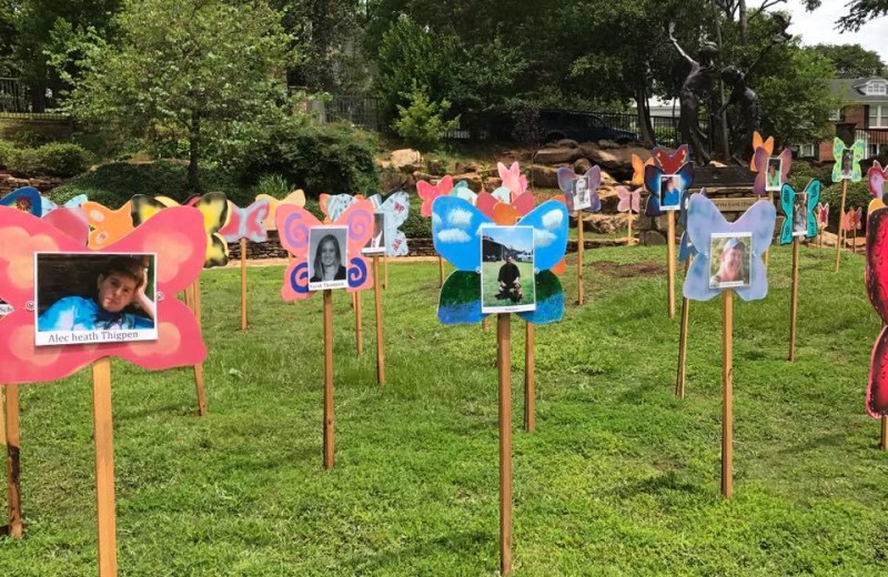 Report: Mission Field