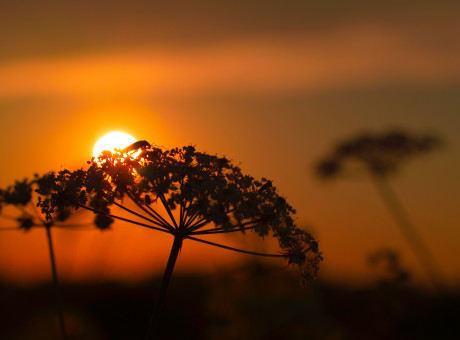 Tell Me About This Hug Lord?