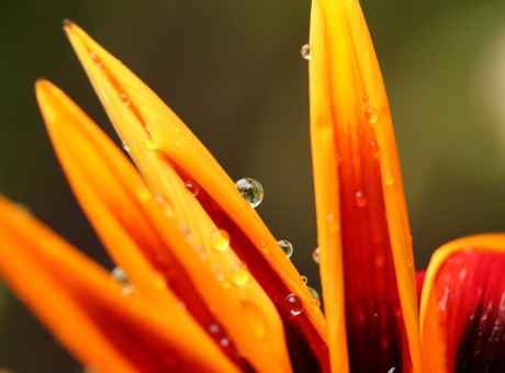 Your Kindest of Ways