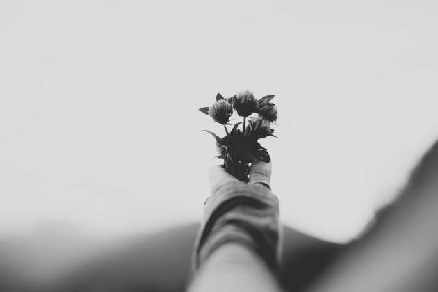 The Purpose in a Poem