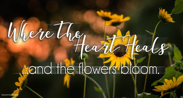 Support Group Update: From My Heart….