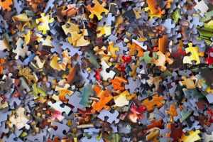 The Puzzle Piece