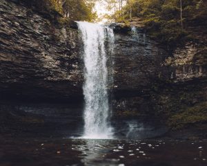 The Edge of the Pool