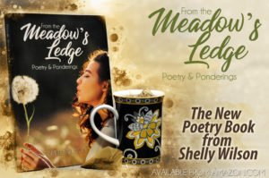 The New Book by Shelly Wilson