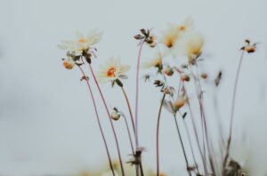 El Shaddai – The All Sufficient One