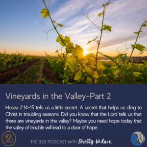 Vineyards in the Valley-Part 2