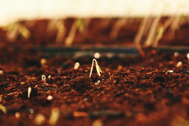 Reaping Bountifully