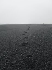 The Grief in the New