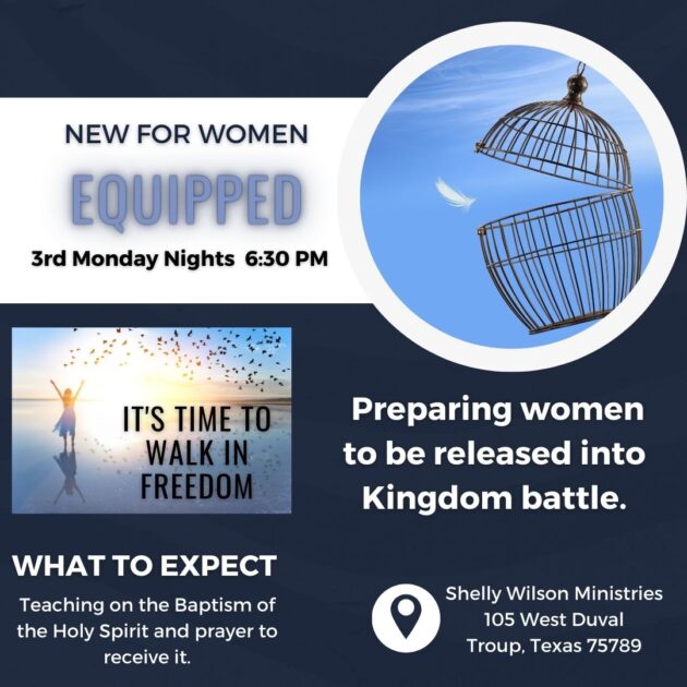 The Baptism of the Holy Spirit