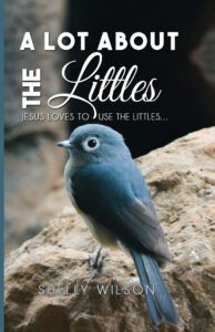 A Lot About the Littles