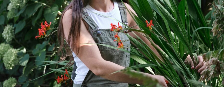 Hands positioned in prayer or contemplation